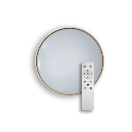 LED Stmievateľné stropné svietidlo DRINA LED/36W/230V 2700-6500K pr. 50 cm + diaľkové ovládanie