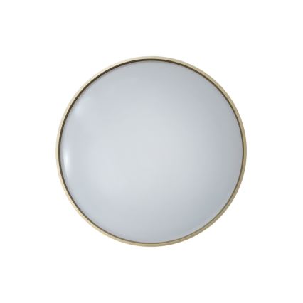 LED Stmievateľné stropné svietidlo DRINA LED/36W/230V 2700-6500K pr. 50 cm + diaľkové ovládanie