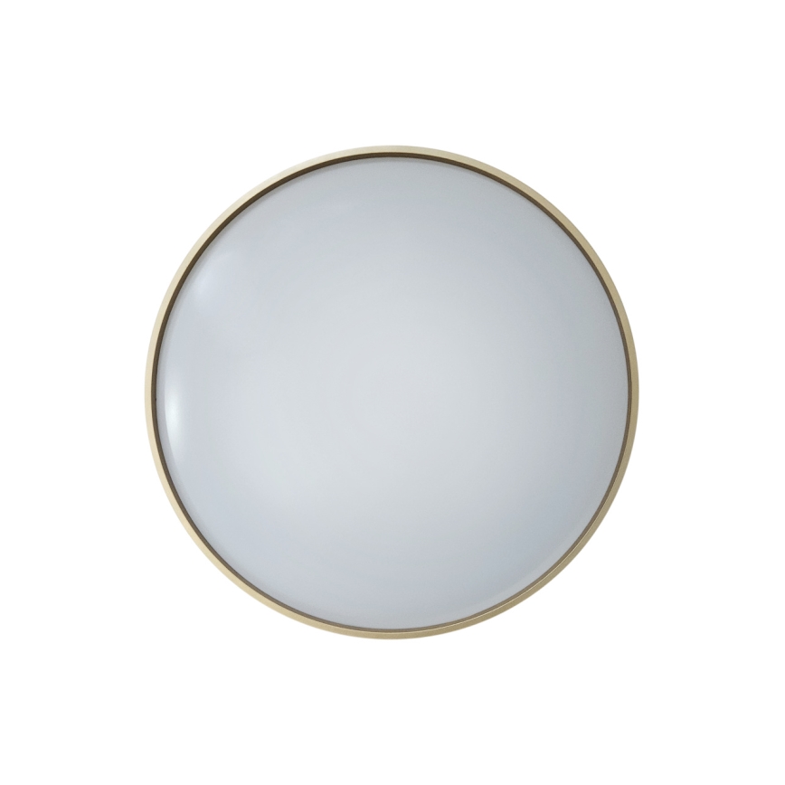 LED Stmievateľné stropné svietidlo DRINA LED/36W/230V 2700-6500K pr. 50 cm + diaľkové ovládanie