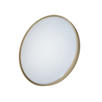LED Stmievateľné stropné svietidlo DRINA LED/36W/230V 2700-6500K pr. 50 cm + diaľkové ovládanie