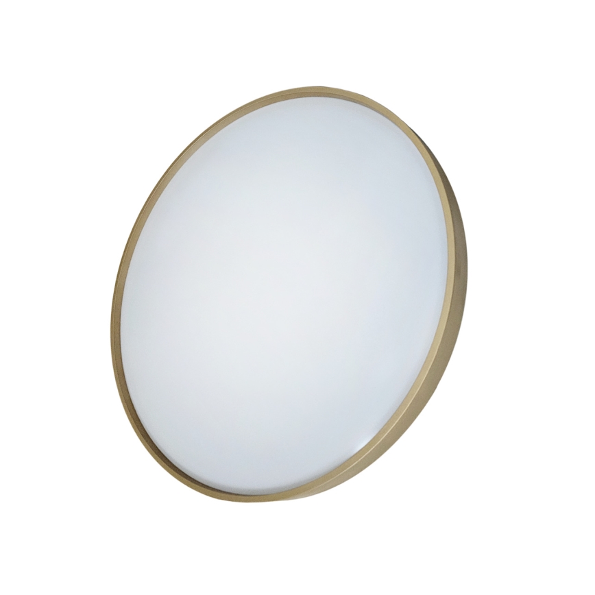 LED Stmievateľné stropné svietidlo DRINA LED/36W/230V 2700-6500K pr. 50 cm + diaľkové ovládanie