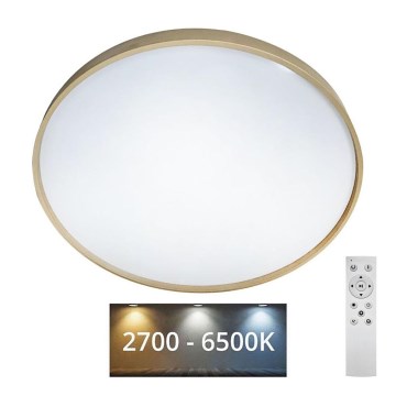 LED Stmievateľné stropné svietidlo DRINA LED/36W/230V 2700-6500K pr. 50 cm + diaľkové ovládanie