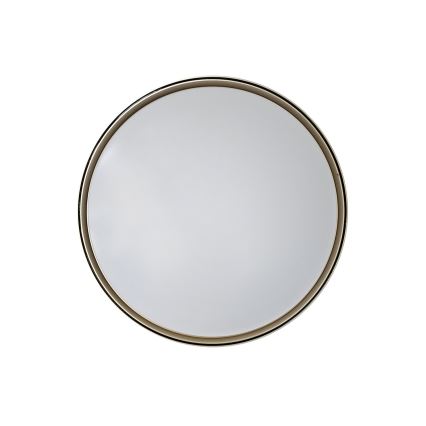 LED Stmievateľné stropné svietidlo EBRO LED/36W/230V 2700-6500K pr. 50 cm + diaľkové ovládanie