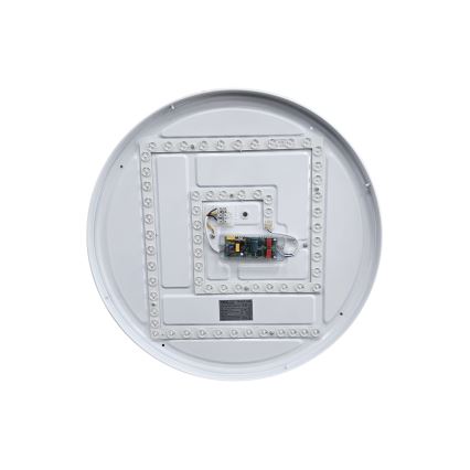 LED Stmievateľné stropné svietidlo EBRO LED/36W/230V 2700-6500K pr. 50 cm + diaľkové ovládanie