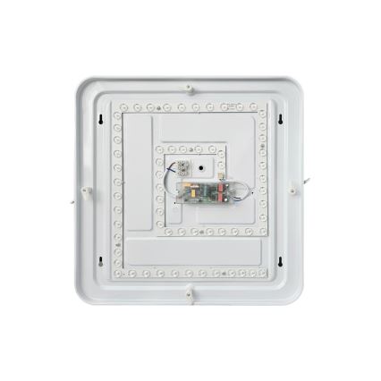 LED Stmievateľné stropné svietidlo FLORA LED/36W/230V 2700-6500K 43x43 cm + diaľkové ovládanie
