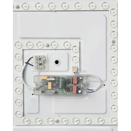 LED Stmievateľné stropné svietidlo FLORA LED/36W/230V 2700-6500K 43x43 cm + diaľkové ovládanie