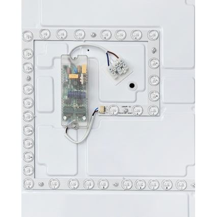 LED Stmievateľné stropné svietidlo FLORA LED/60W/230V 2700-6500K 53x53 cm + diaľkové ovládanie