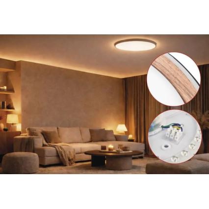 LED stmievateľné stropné svietidlo ILVI LED/30W/230V 2700-6500K pr. 40 cm čierna/béžová + diaľkové ovládanie
