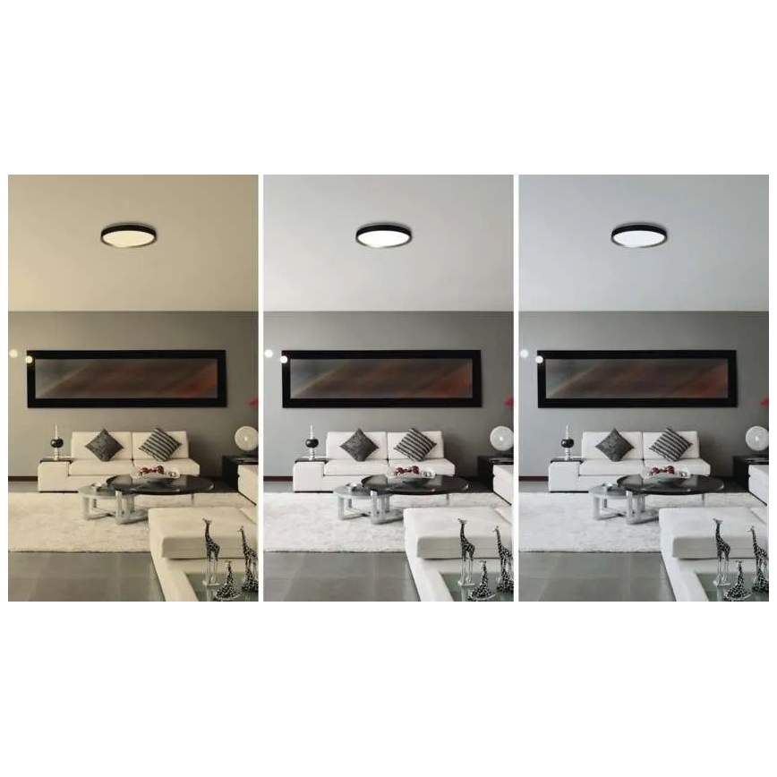 LED stmievateľné stropné svietidlo ILVI LED/30W/230V 2700-6500K priemer 40 cm čierna/mosadz + diaľkové ovládanie