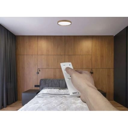LED Stmievateľné stropné svietidlo ILVI LED/30W/230V 2700-6500K pr. 40 cm béžová + diaľkové ovládanie