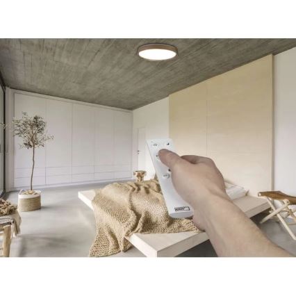 LED Stmievateľné stropné svietidlo ILVI LED/45W/230V 2700-6500K pr. 50 cm dekor dreva + diaľkové ovládanie