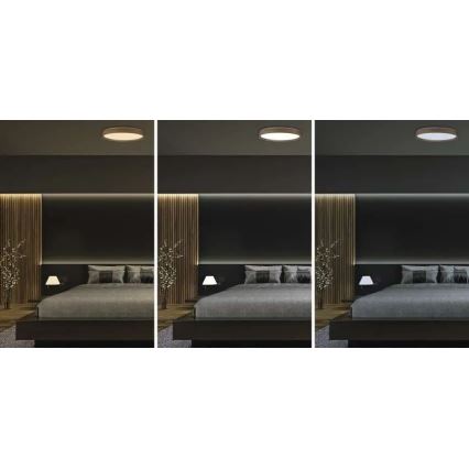 LED Stmievateľné stropné svietidlo ILVI LED/45W/230V 2700-6500K pr. 50 cm dekor dreva + diaľkové ovládanie