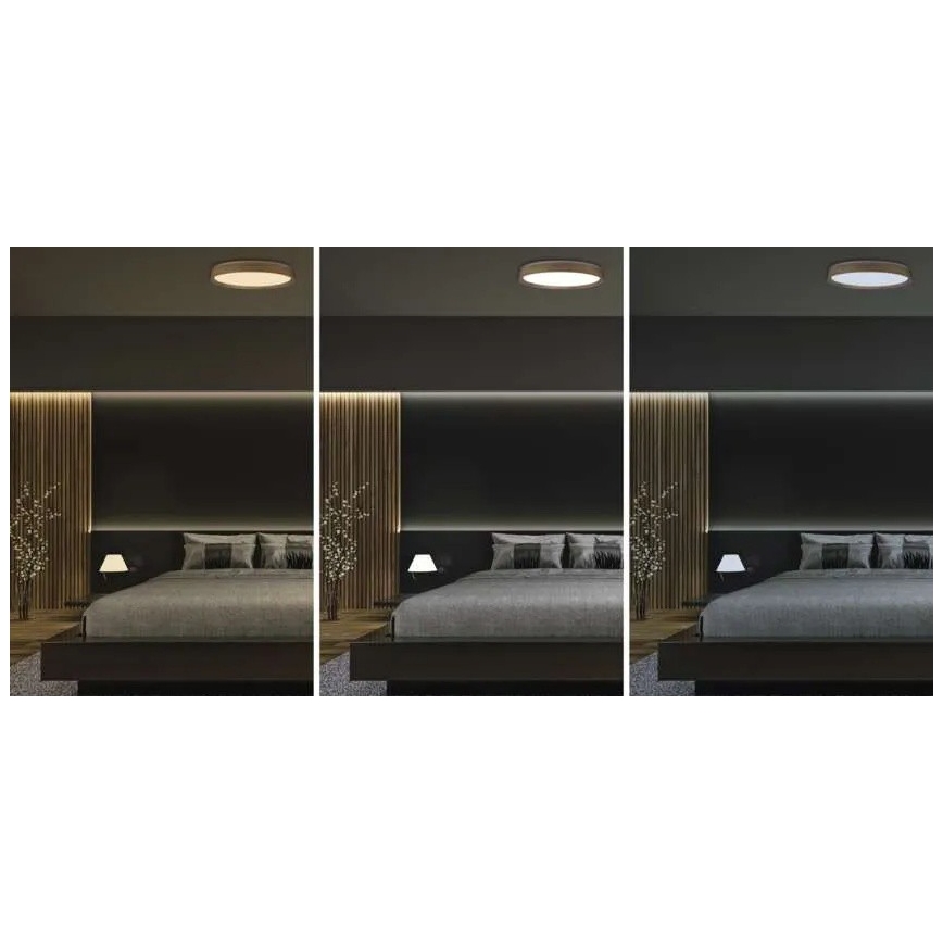 LED Stmievateľné stropné svietidlo ILVI LED/45W/230V 2700-6500K pr. 50 cm dekor dreva + diaľkové ovládanie