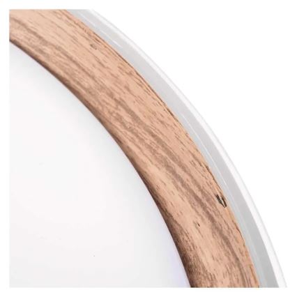 LED stmievateľné stropné svietidlo ILVI LED/45W/230V 2700-6500K priem. 50 cm biela/béžová + diaľkové ovládanie