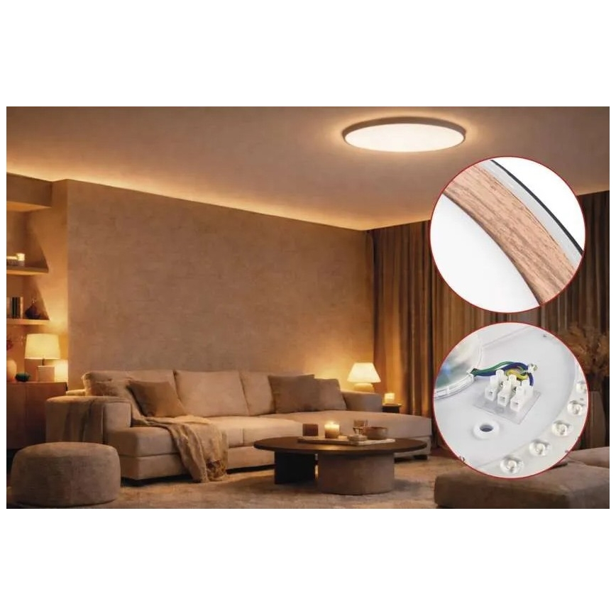 LED stmievateľné stropné svietidlo ILVI LED/45W/230V 2700-6500K pr. 50 cm čierna/béžová + diaľkové ovládanie