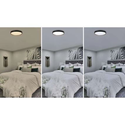 LED stmievateľné stropné svietidlo ILVI LED/45W/230V 2700-6500K pr. 50 cm čierna/béžová + diaľkové ovládanie