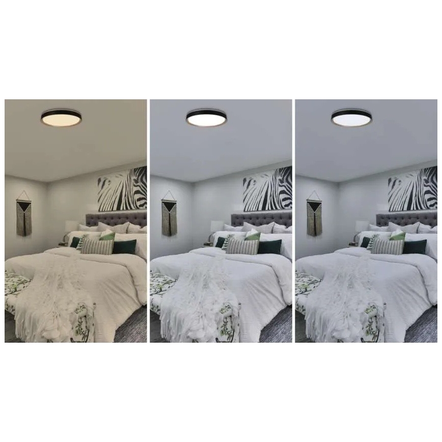 LED stmievateľné stropné svietidlo ILVI LED/45W/230V 2700-6500K pr. 50 cm čierna/béžová + diaľkové ovládanie