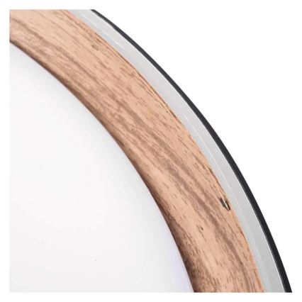 LED stmievateľné stropné svietidlo ILVI LED/45W/230V 2700-6500K pr. 50 cm čierna/béžová + diaľkové ovládanie