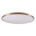 LED stmievateľné stropné svietidlo KERN LED/80W/230V 3000/4000/6000K priemer 80 cm zlaté + diaľkové ovládanie