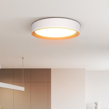 LED Stmievateľné stropné svietidlo LARIOS LED/48W/230V 3000-6500K pr.39 cm bílá+ diaľkové ovládanie
