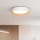 LED Stmievateľné stropné svietidlo LARIOS LED/48W/230V 3000-6500K pr.39 cm bílá+ diaľkové ovládanie