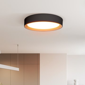 LED Stmievateľné stropné svietidlo LARIOS LED/48W/230V 3000-6500K pr.39 cm čierna + diaľkové ovládanie