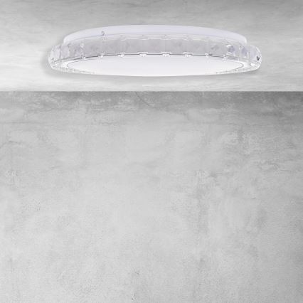 LED Stmievateľné stropné svietidlo LAYLA 1xLED/26W/230V + diaľkové ovládanie