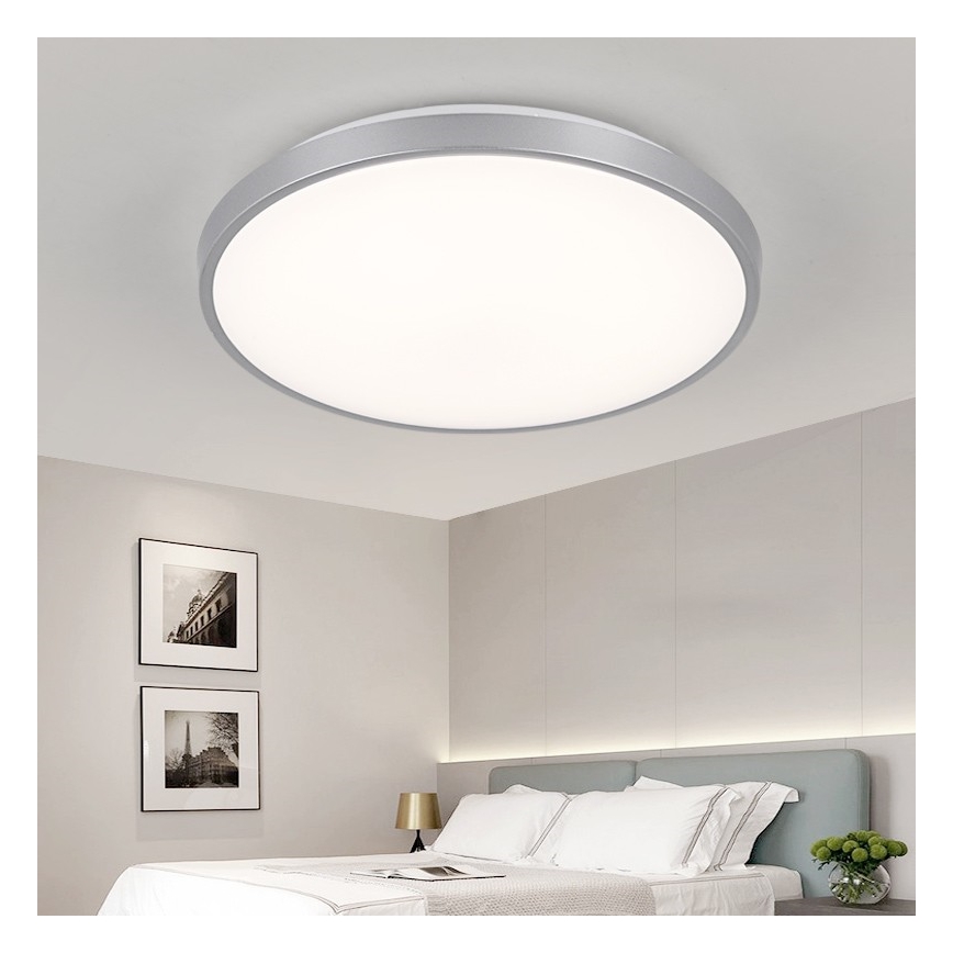 Nedes LC801A/SI - LED Stropní svítidlo LC8 LED/50W/230V
