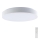 LED Stmievateľné stropné svietidlo LED/40W/230V 3000-6500K 39,5 cm biela + diaľkové ovládanie