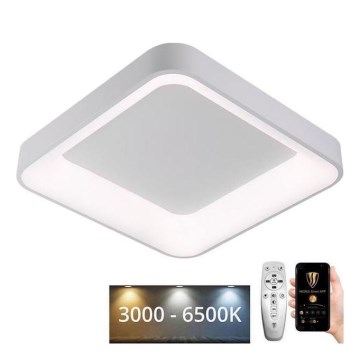 LED Stmievateľné stropné svietidlo LED/45W/230V 3000-6500K biela + diaľkové ovládanie