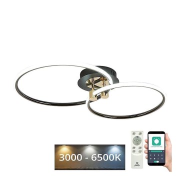 LED Stmievateľné stropné svietidlo LED/48W/230V 3000-6500K + diaľkové ovládanie
