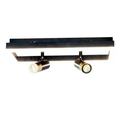 LED Stmievateľné stropné svietidlo LED/50W/230V 3000-6500K čierna + diaľkové ovládanie