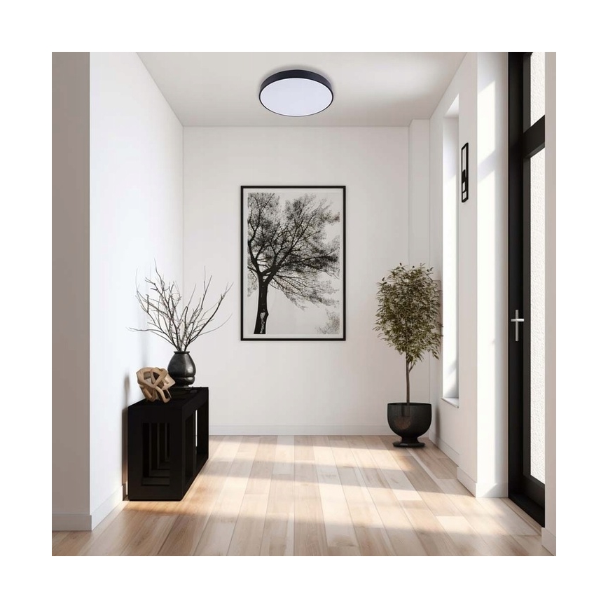 LED Stmievateľné stropné svietidlo LED/50W/230V 3000-6500K pr. 50 cm čierna + diaľkové ovládanie