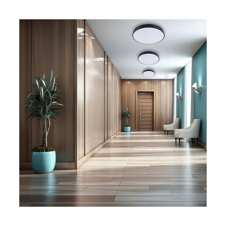 LED Stmievateľné stropné svietidlo LED/50W/230V 3000-6500K pr. 50 cm čierna + diaľkové ovládanie