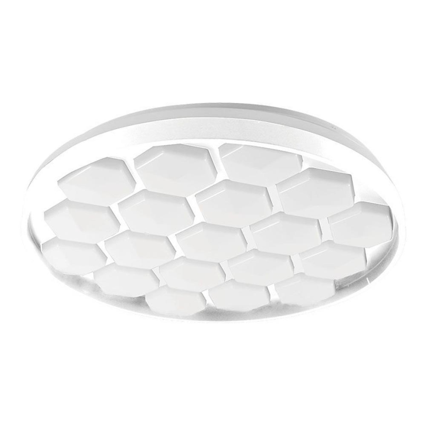 LED Stmievateľné stropné svietidlo LED/60W/230V 3000/4000/6500K + diaľkové ovládanie