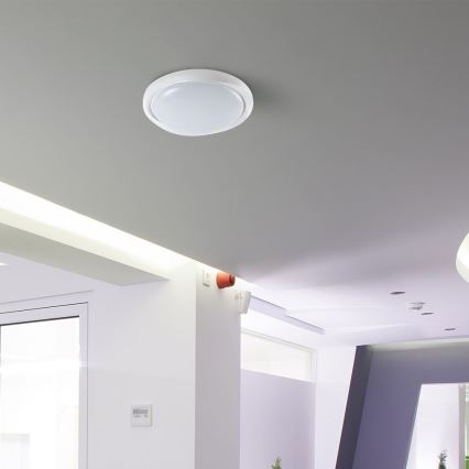 LED Stmievateľné stropné svietidlo LED/60W/230V 3000-6500K 49,2 cm biela + diaľkové ovládanie