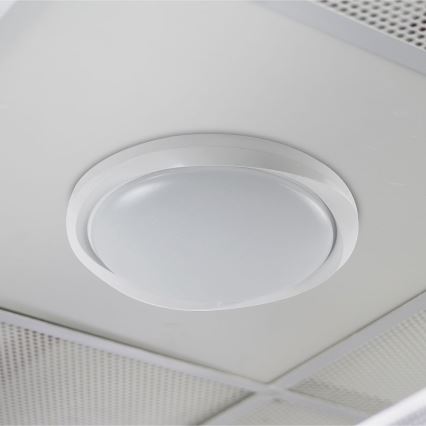 LED Stmievateľné stropné svietidlo LED/60W/230V 3000-6500K 49,2 cm biela + diaľkové ovládanie