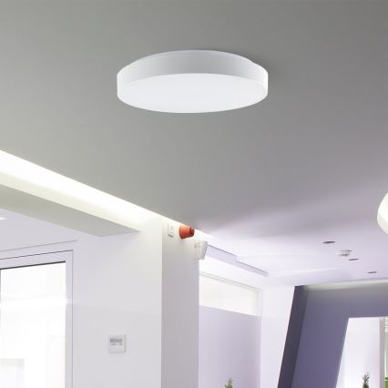 LED Stmievateľné stropné svietidlo LED/60W/230V 3000-6500K 49,5 cm biela + diaľkové ovládanie