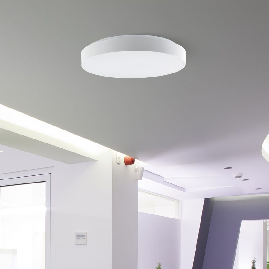 LED Stmievateľné stropné svietidlo LED/60W/230V 3000-6500K 49,5 cm biela + diaľkové ovládanie