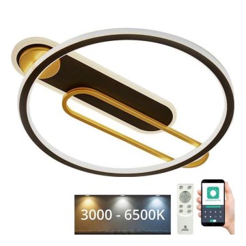LED Stmievateľné stropné svietidlo LED/60W/230V 3000-6500K čierna + diaľkové ovládanie