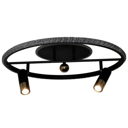 LED Stmievateľné stropné svietidlo LED/60W/230V 3000-6500K čierna + diaľkové ovládanie