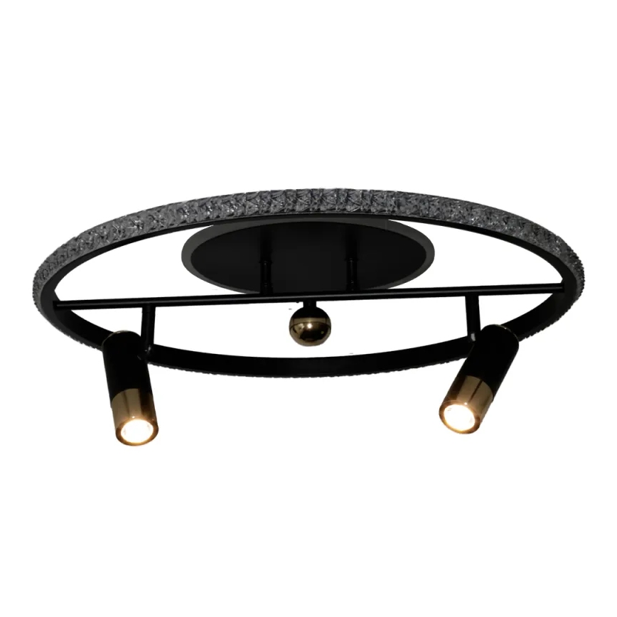 LED Stmievateľné stropné svietidlo LED/60W/230V 3000-6500K čierna + diaľkové ovládanie