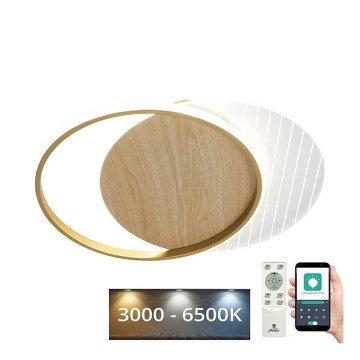 LED Stmievateľné stropné svietidlo LED/60W/230V 3000-6500K + diaľkové ovládanie