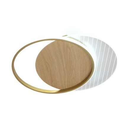 LED Stmievateľné stropné svietidlo LED/60W/230V 3000-6500K + diaľkové ovládanie