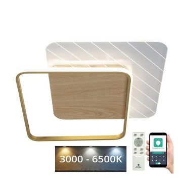 LED Stmievateľné stropné svietidlo LED/60W/230V 3000-6500K + diaľkové ovládanie