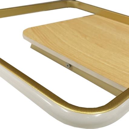LED Stmievateľné stropné svietidlo LED/60W/230V 3000-6500K + diaľkové ovládanie