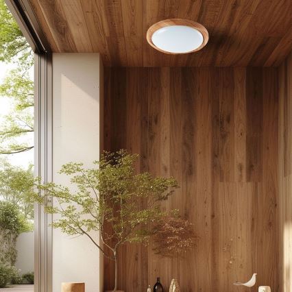 LED Stmievateľné stropné svietidlo LED/60W/230V 3000-6500K + diaľkové ovládanie