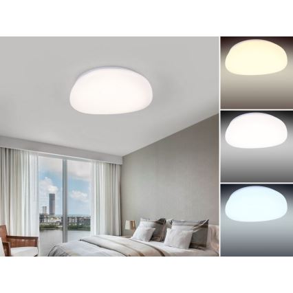 Nedes LC802K - LED Stmievateľné stropné svietidlo LED/60W/230V + ZADARMO LED Žiarivkové svietidlo LED/36W