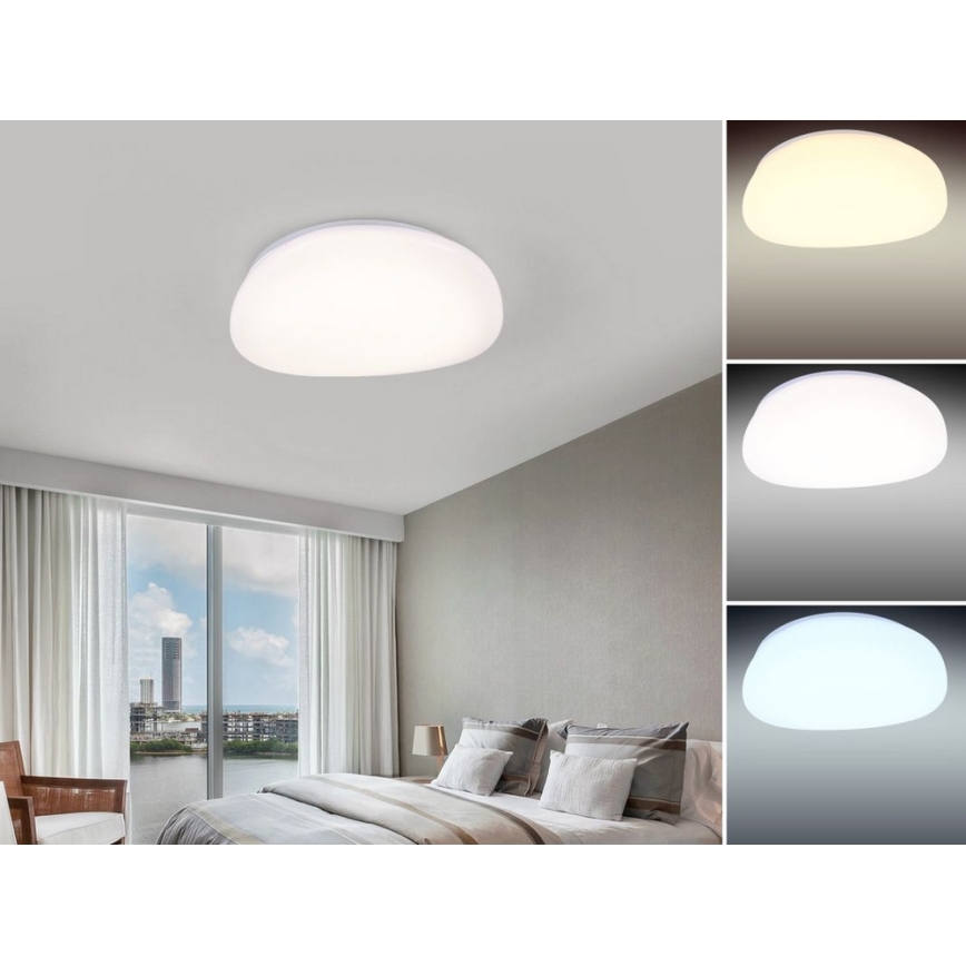 Nedes LC802K - LED Stmievateľné stropné svietidlo LED/60W/230V + ZADARMO LED Žiarivkové svietidlo LED/36W