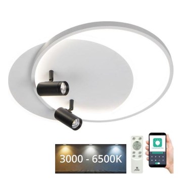 LED Stmievateľné stropné svietidlo LED/65W/230V 3000-6500K biela + diaľkové ovládanie